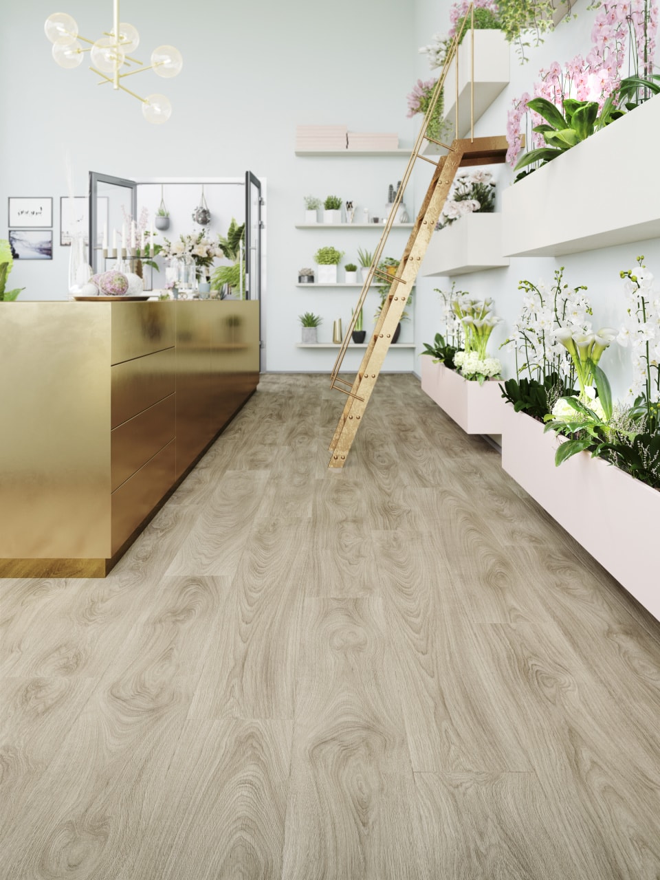 dione-shop-banner