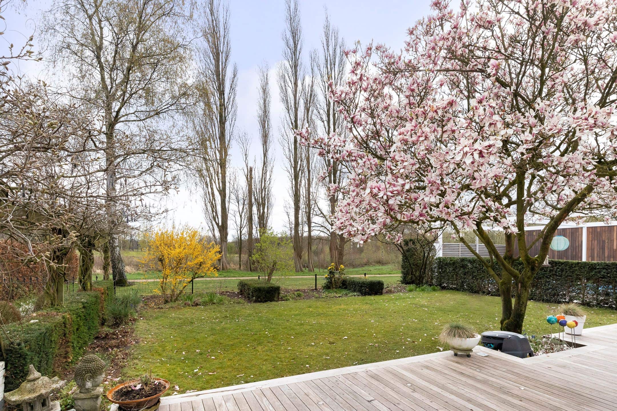 Prachtige tuin met Ipé Plus terras